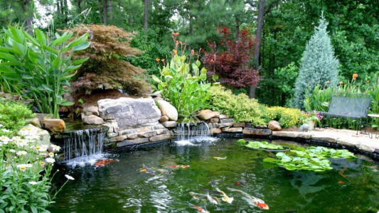 Hơn 10 Ý Tưởng Tự Làm Hồ Cá Sân Vườn Đơn Giản Mà Ấn Tượng