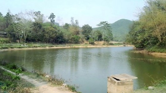 Sổ đỏ ghi đất ở nhưng sổ địa chính lại thể hiện nửa đất ở, nửa đất ao