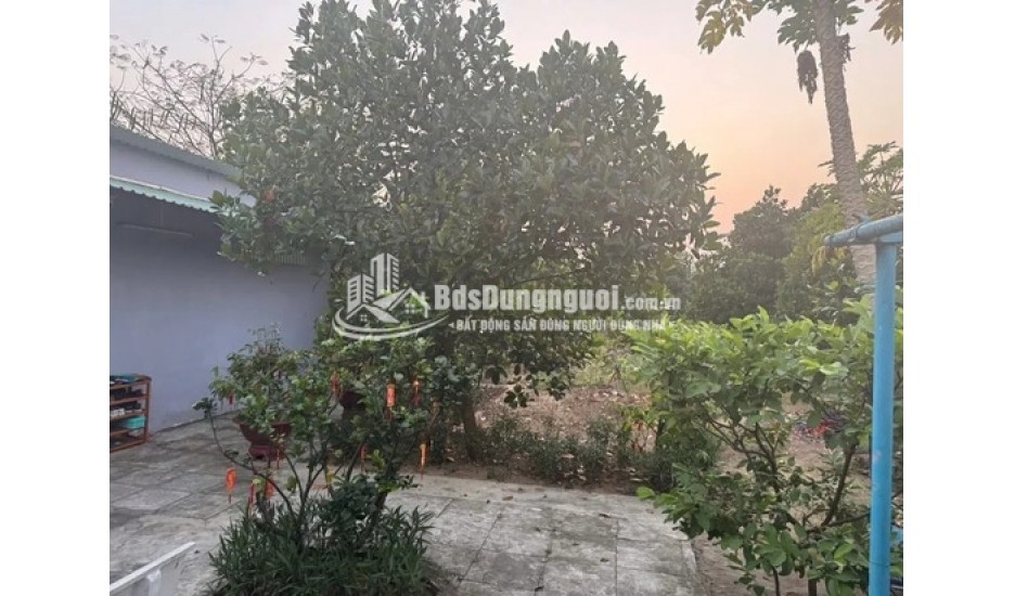 BÁN ĐẤTTRỒNG CÂY LÂU NĂM 300M2 XUNG QUANH ĐẦY ĐỦ TIỆN ÍCH SHR CHÍNH CHỦ KHÔNG TRANH CHẤP