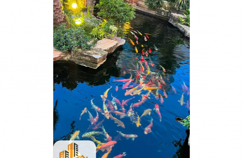 BÁN NHÀ HÀNG 2 MẶT TIỀN PHƯỜNG LONG TRƯỜNG, TP THỦ ĐỨC, 125 TỶ, 35x100m2