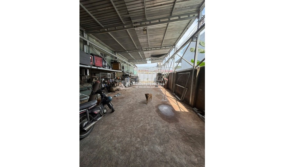 MẶT TIỀN KINH DOANH ĐƯỜNG NHỰA 8M 16,2 TỶ 313,7M2