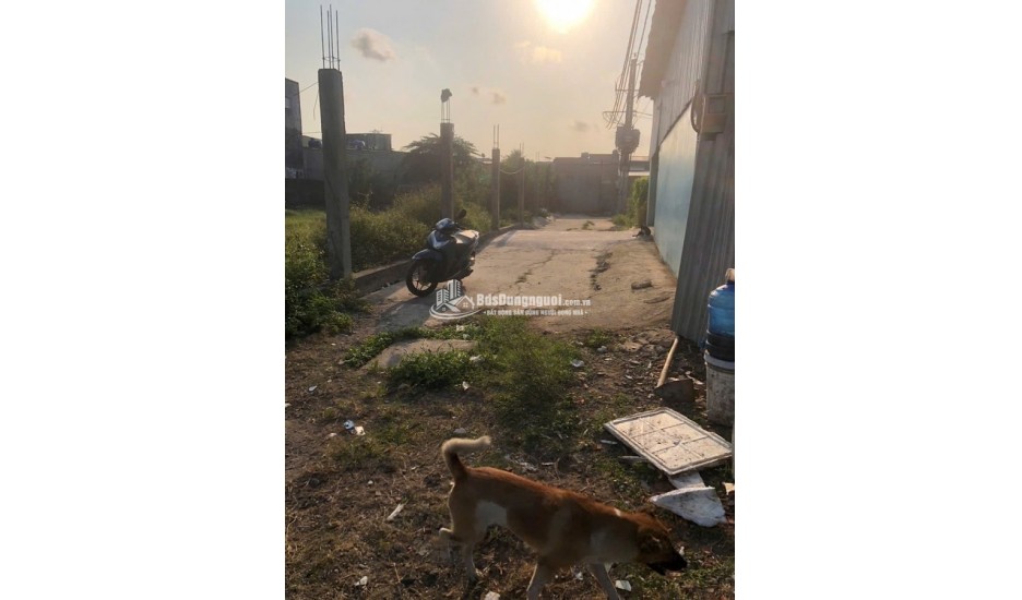 BÁN ĐẤT HẺM 5M ĐƯỜNG VÕ VĂN VÂN DT 1007M2 25X40