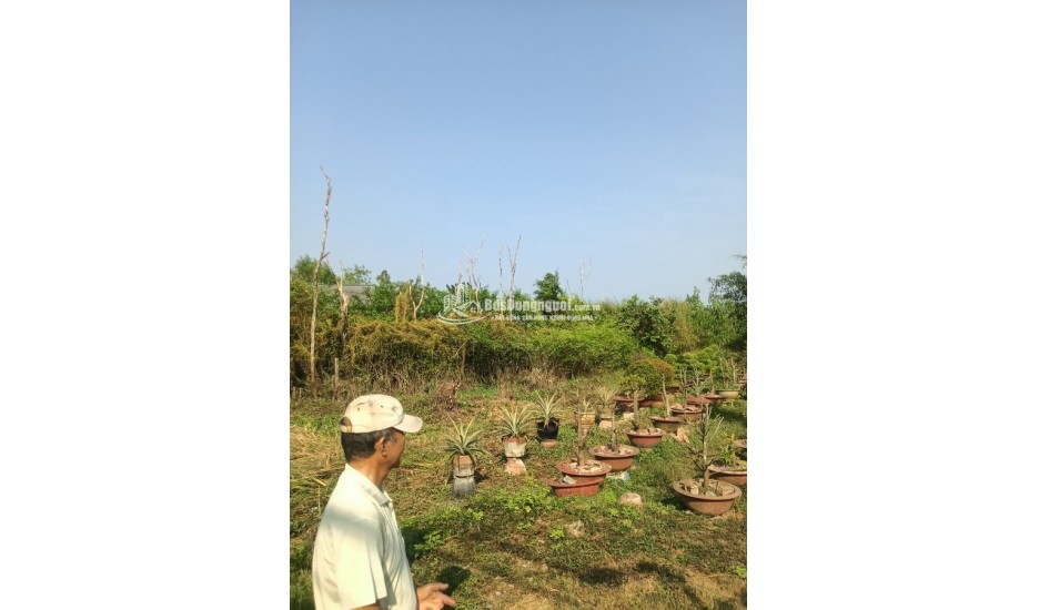 BÁN ĐẤT 2 MẶT TIỀN – DIỆN TÍCH LỚN – GIÁ TỐT BÌNH CHÁNH 4299,7m2(52,6 x 80m) 19 tỷ