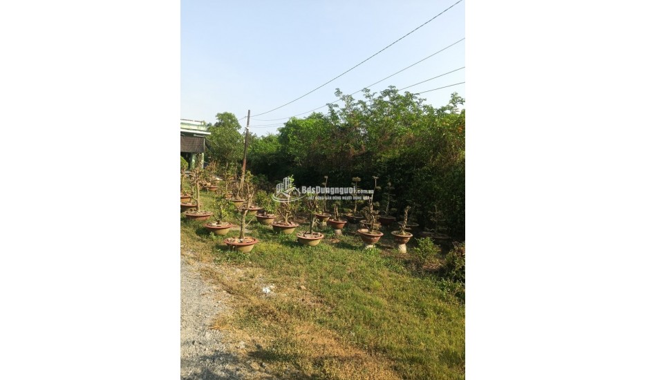 BÁN ĐẤT 2 MẶT TIỀN – DIỆN TÍCH LỚN – GIÁ TỐT BÌNH CHÁNH 4299,7m2(52,6 x 80m) 19 tỷ