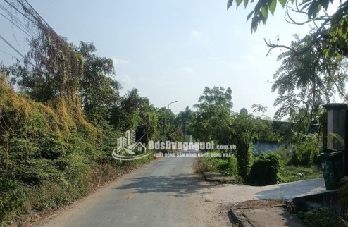 BÁN ĐẤT 2 MẶT TIỀN – DIỆN TÍCH LỚN – GIÁ TỐT BÌNH CHÁNH 4299,7m2(52,6 x 80m) 19 tỷ