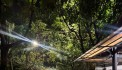 Biệt Thự Độc Lập 2000m View Sông Nước Gần 58 Võ Văn Hát, Long Trường - Không hạn chế ngành nghề kinh doanh, khách thuê